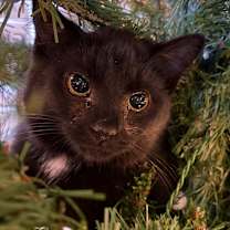 Thumbnail photo of Paige Stache #1