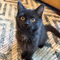 Thumbnail photo of Phoebe Stache #2