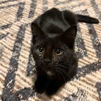 Thumbnail photo of Paige Stache #2