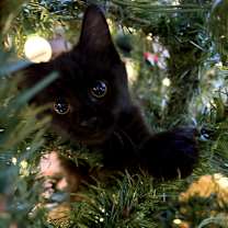 Thumbnail photo of Paige Stache #3