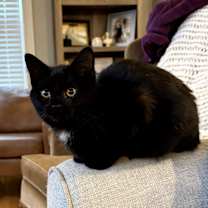 Thumbnail photo of Paige Stache #4