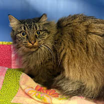 Thumbnail photo of Mary May-C #1