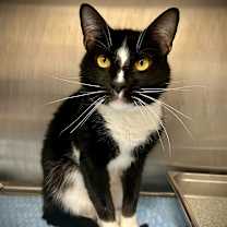 Thumbnail photo of Rio #1