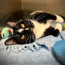 Thumbnail photo of Rio #3