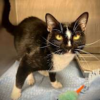 Thumbnail photo of Rio #4