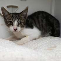 Thumbnail photo of Pitaya #2