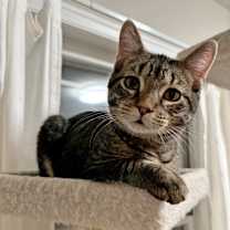 Thumbnail photo of Oliver #1