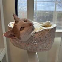 Thumbnail photo of Hombrecito #2