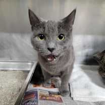 Thumbnail photo of Arielle #2