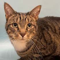 Thumbnail photo of Jesse #2