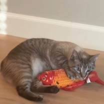 Thumbnail photo of Lady #4