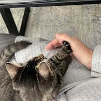 Thumbnail photo of Bonnie #2