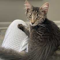 Thumbnail photo of Blossom #2