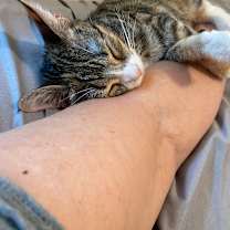 Thumbnail photo of Lucy #2