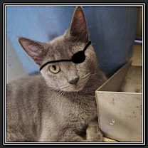 Thumbnail photo of Reese #1