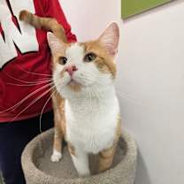 Thumbnail photo of Aengus  #2