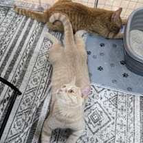 Thumbnail photo of Skittles #3