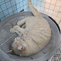 Thumbnail photo of Skittles #4