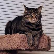 Thumbnail photo of Harry #1