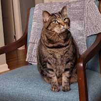 Thumbnail photo of Harry #4