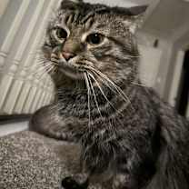 Thumbnail photo of Craig & dayday #1