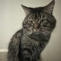 Thumbnail photo of Craig & dayday #2