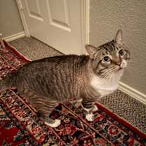 Thumbnail photo of Craig & dayday #4