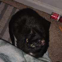 Thumbnail photo of Lady/ fat stuff #2