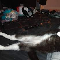 Thumbnail photo of Lady/ fat stuff #3