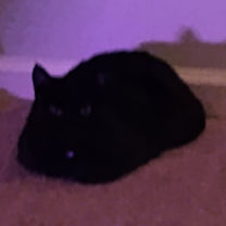 Thumbnail photo of Lady/ fat stuff #4