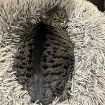 Thumbnail photo of SPOOK #2