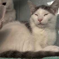 Thumbnail photo of Ocean Breeze #2