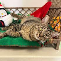 Thumbnail photo of Grayson #1