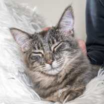 Thumbnail photo of Jelly #4