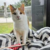 Thumbnail photo of Melissa #3