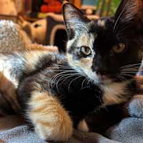 Thumbnail photo of PRUDENCE #1