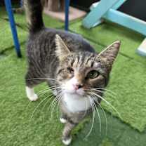 Thumbnail photo of Sabrina #2