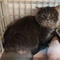 Thumbnail photo of Packy #4