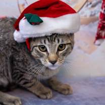 Thumbnail photo of Bobby #1