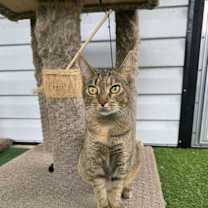 Thumbnail photo of Tabatha #4