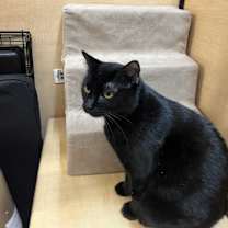 Thumbnail photo of Trinity #2