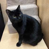 Thumbnail photo of Trinity #3