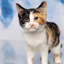 Thumbnail photo of Ethel #4