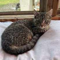 Thumbnail photo of Munchkin #2