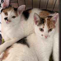 Thumbnail photo of Janet #2