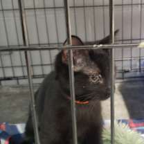 Thumbnail photo of Ciara #1