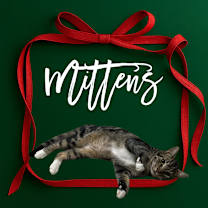 Thumbnail photo of Mittens #1