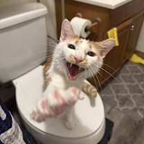 Thumbnail photo of Spoons #2