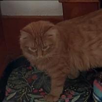 Thumbnail photo of Curacao #1