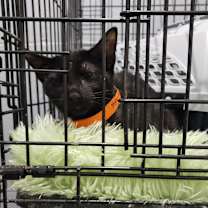 Thumbnail photo of Melanie #1